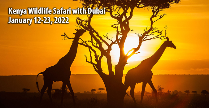 Kenya Wildlife Safari with Dubai